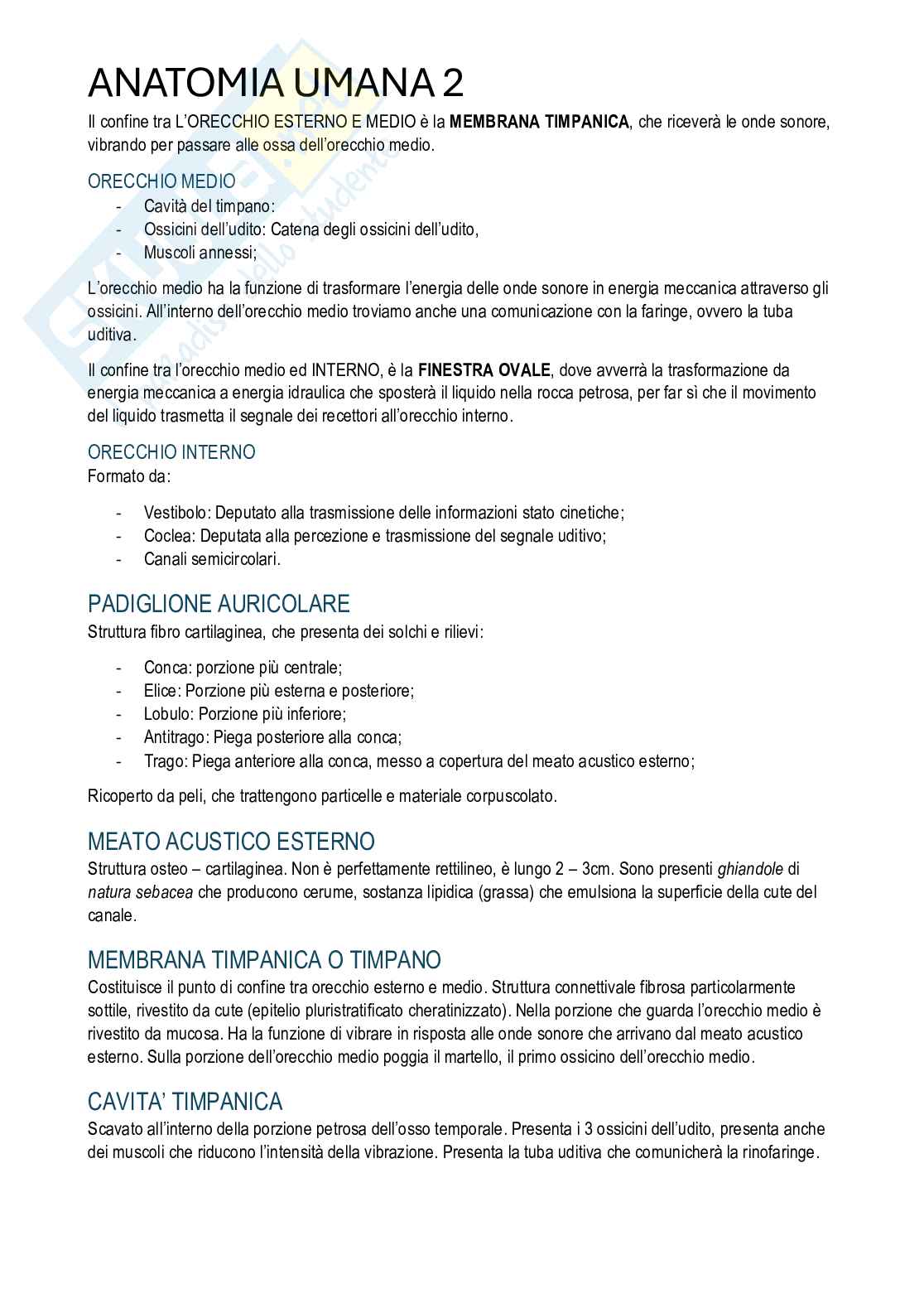 Anatomia umana II - Appunti di corso completo Pag. 31