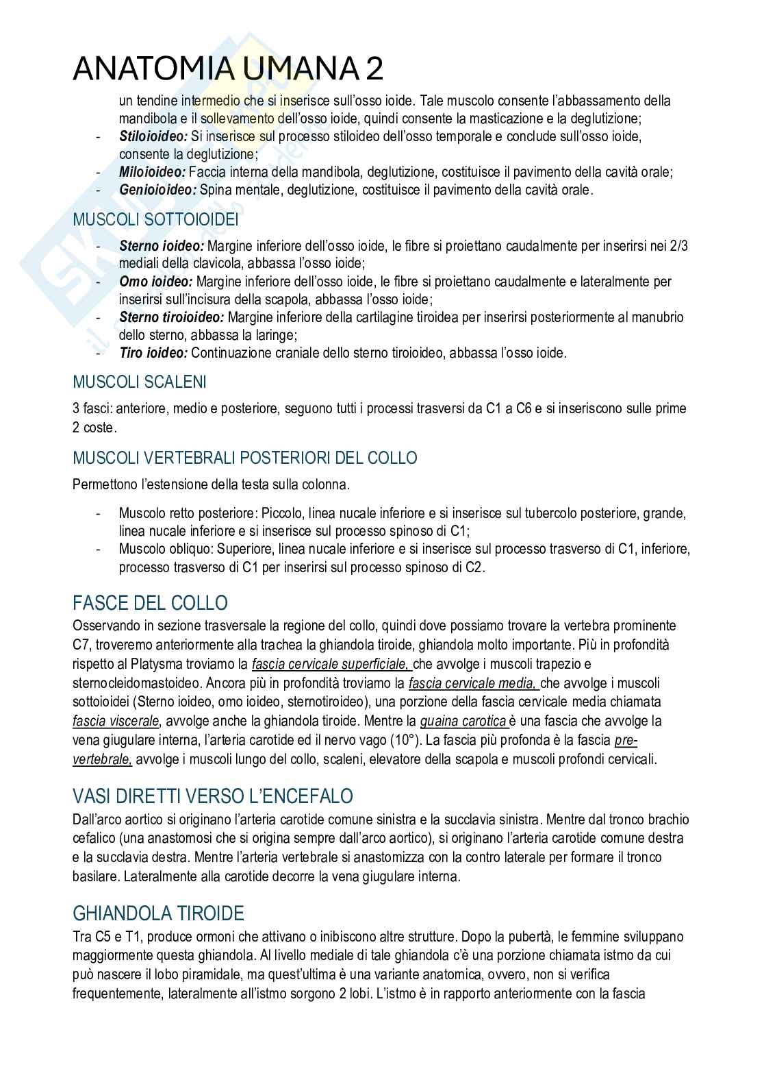 Anatomia umana II - Appunti di corso completo Pag. 6