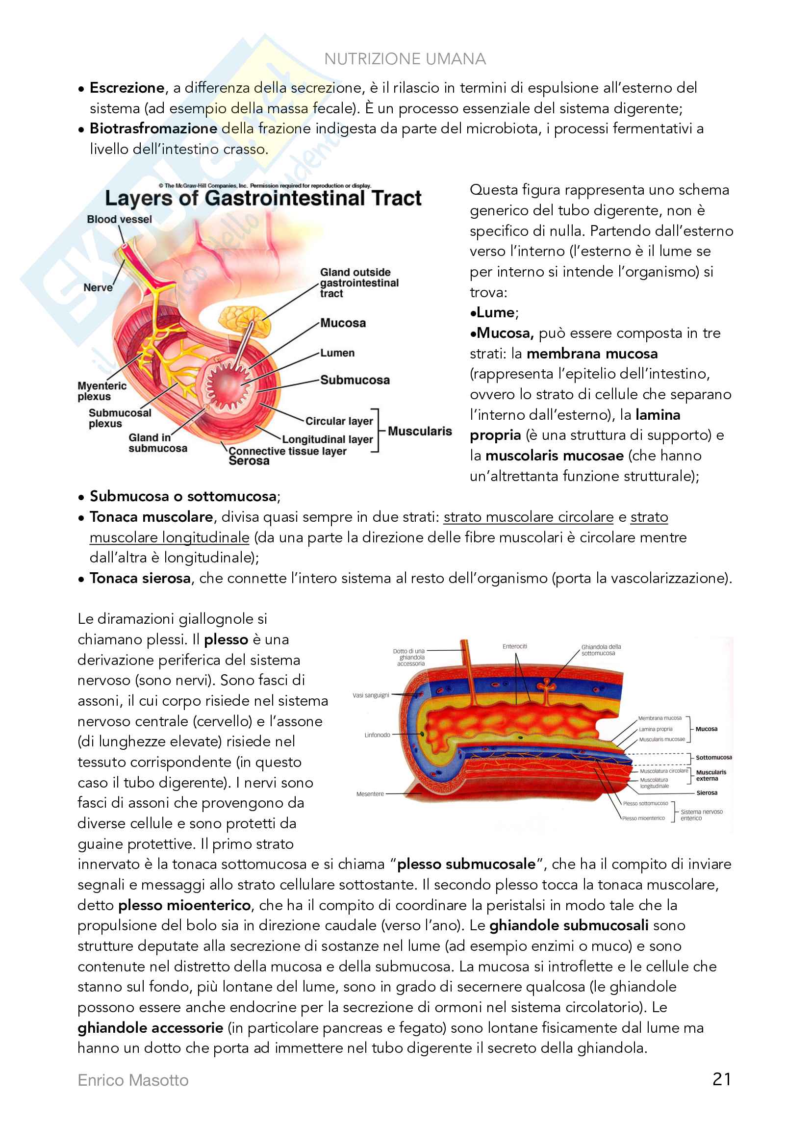 Alimentazione e nutrizione Pag. 21