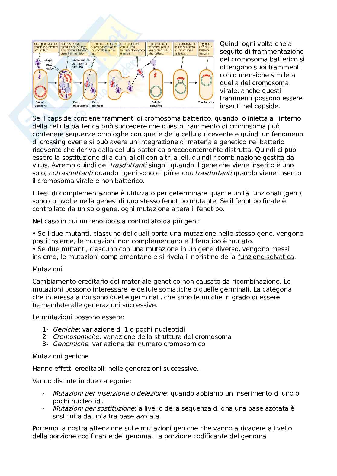 Appunti di genetica su tutto il programma Pag. 51