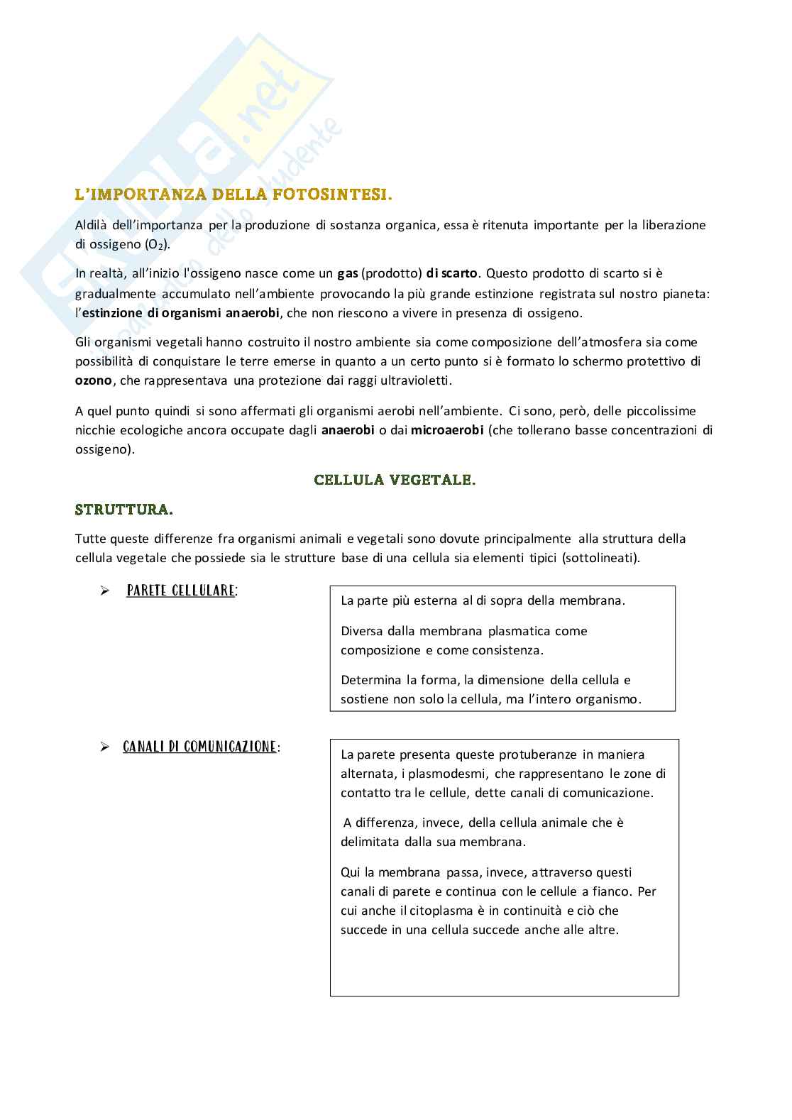 Appunti di Botanica generale   Pag. 2