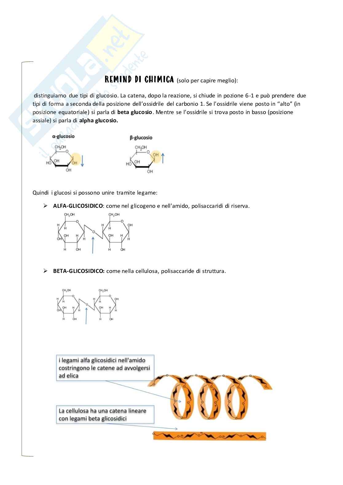 Appunti di Botanica generale   Pag. 6