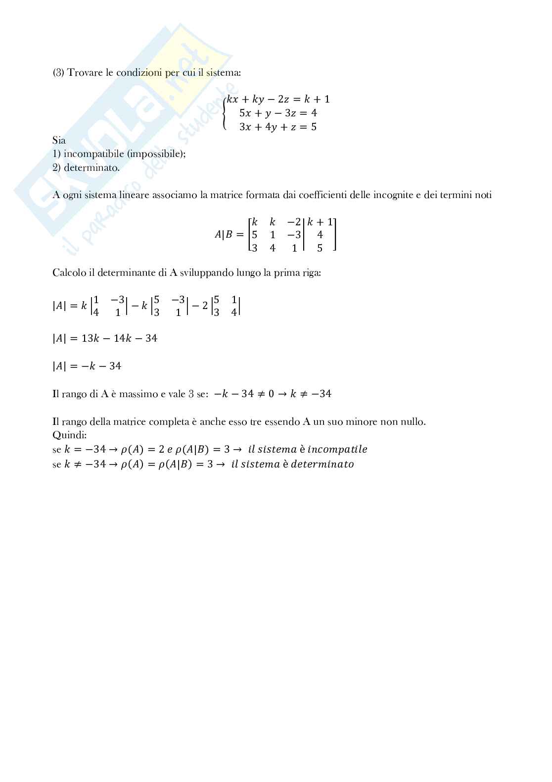 Matematica per l'economia prof D'Aniello - Traccia svolta appello 11 gennaio 2021 Pag. 6