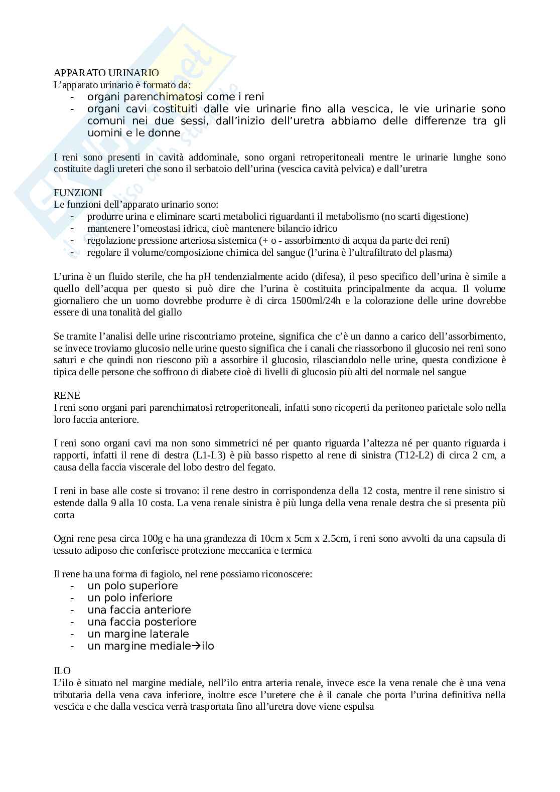 Apparato urinario Pag. 1