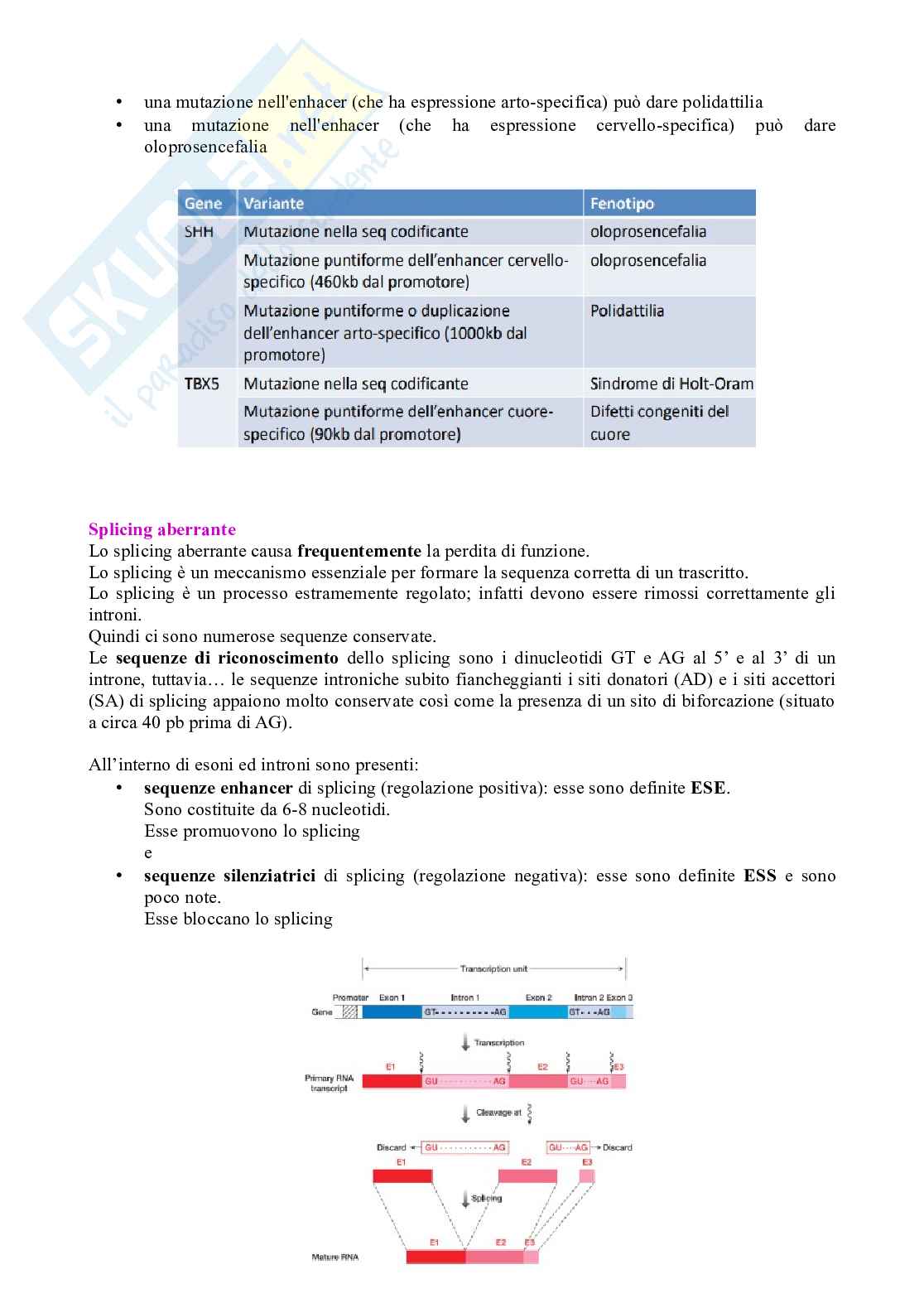 Genetica forense - Mutazioni geniche Pag. 6
