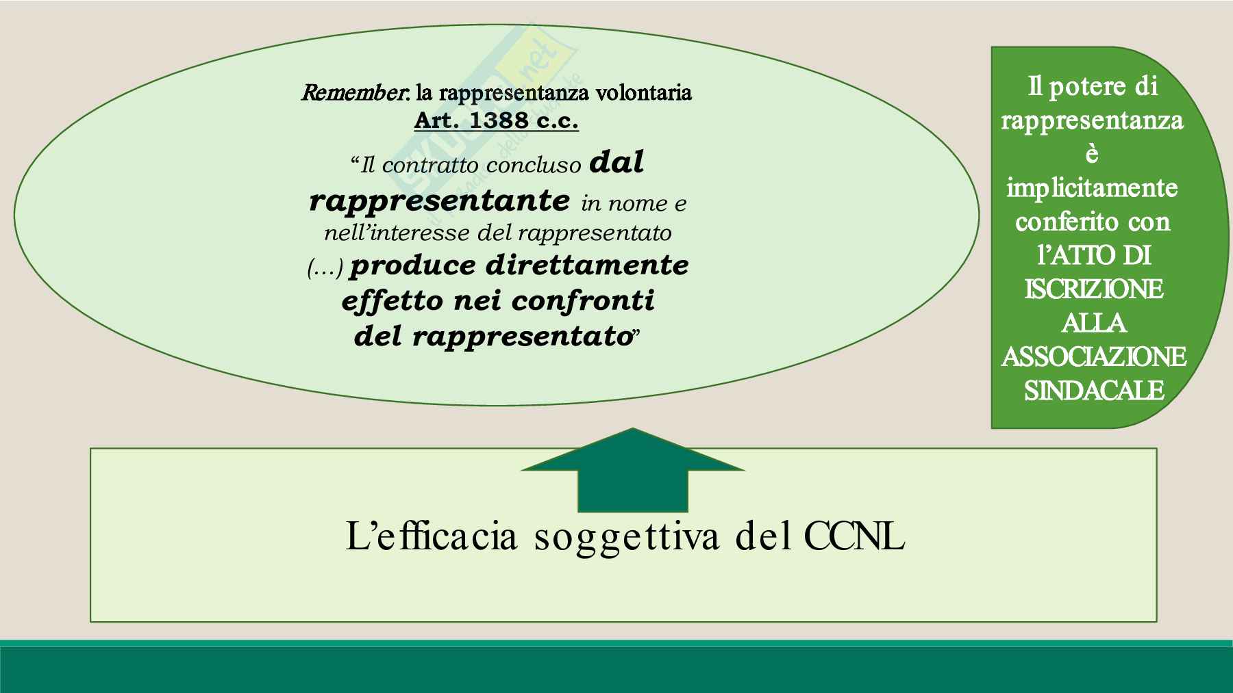 Contrattazione collettiva  Pag. 56