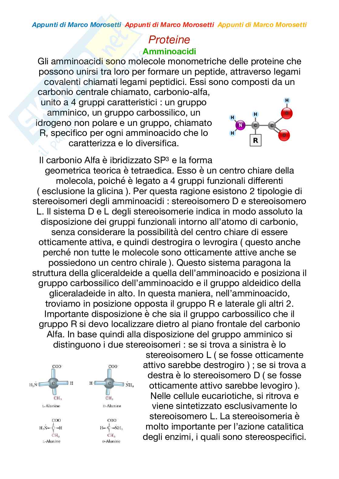 Bioinformatica - 2 modulo Appunti Pag. 2