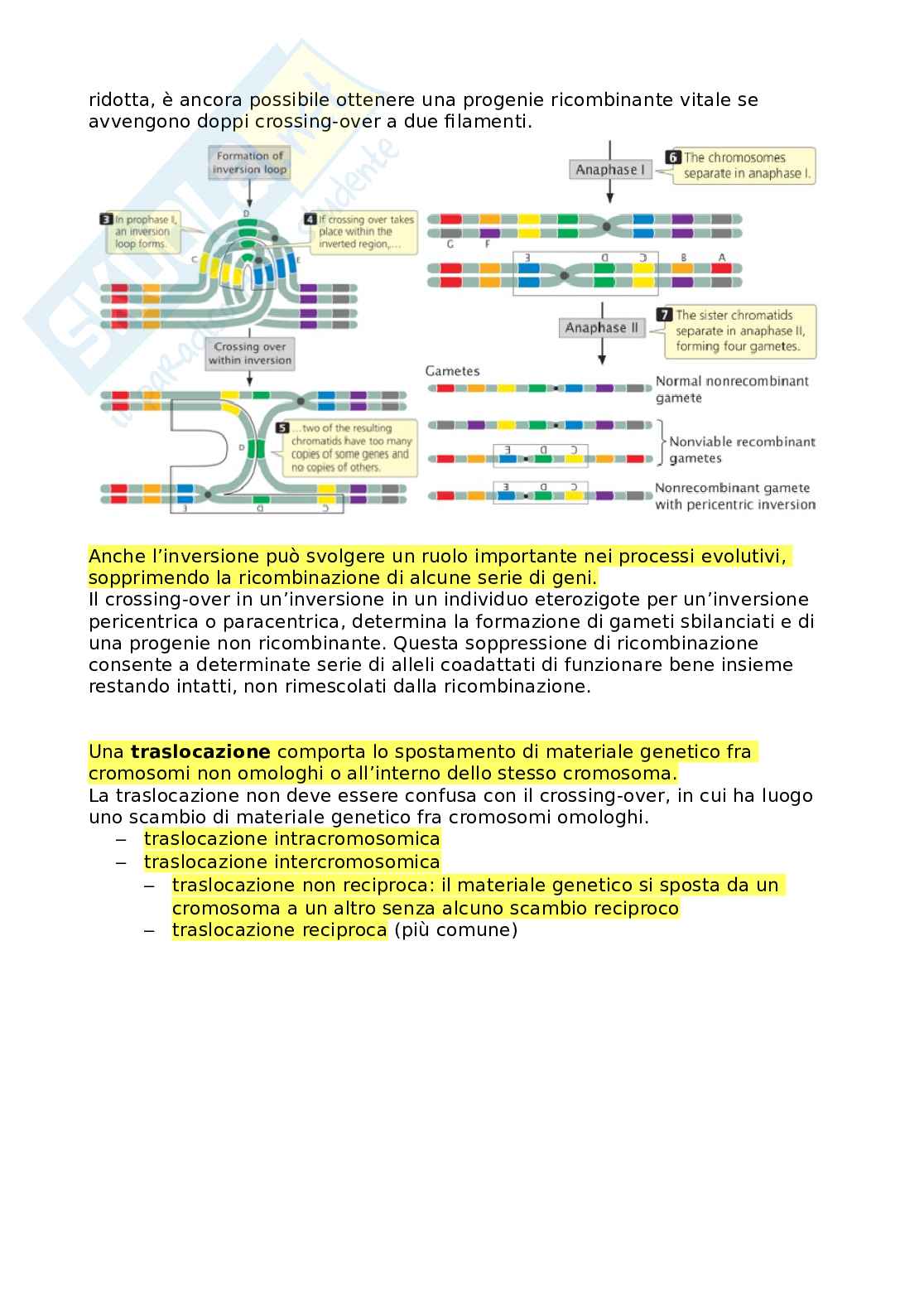 Appunti di Genetica Pag. 51