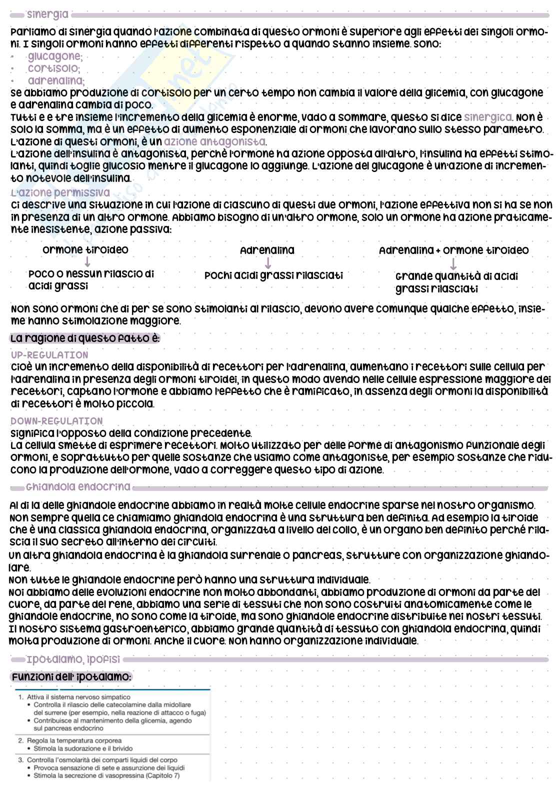 Fisiologia umana - Appunti  Pag. 26