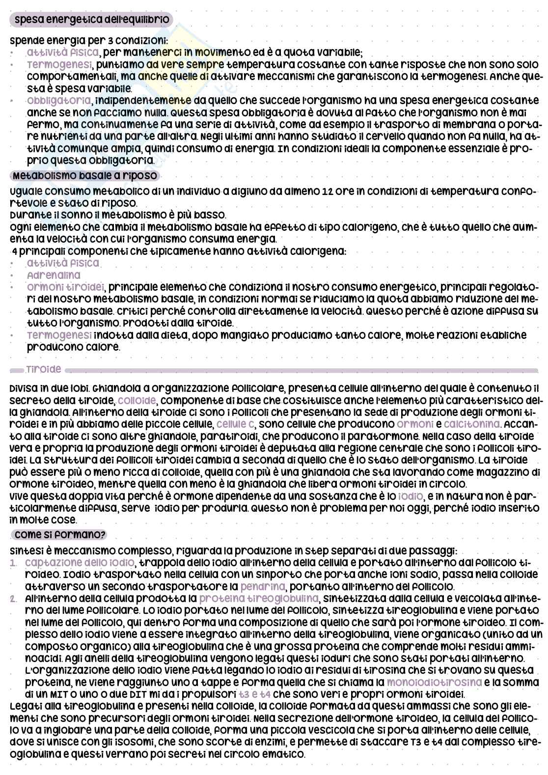 Fisiologia umana - Appunti  Pag. 51