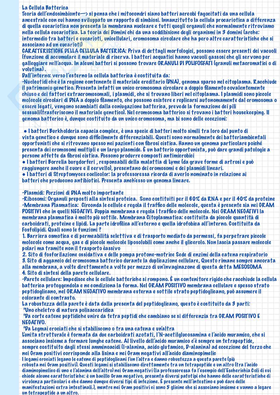Microbiologia Pag. 6
