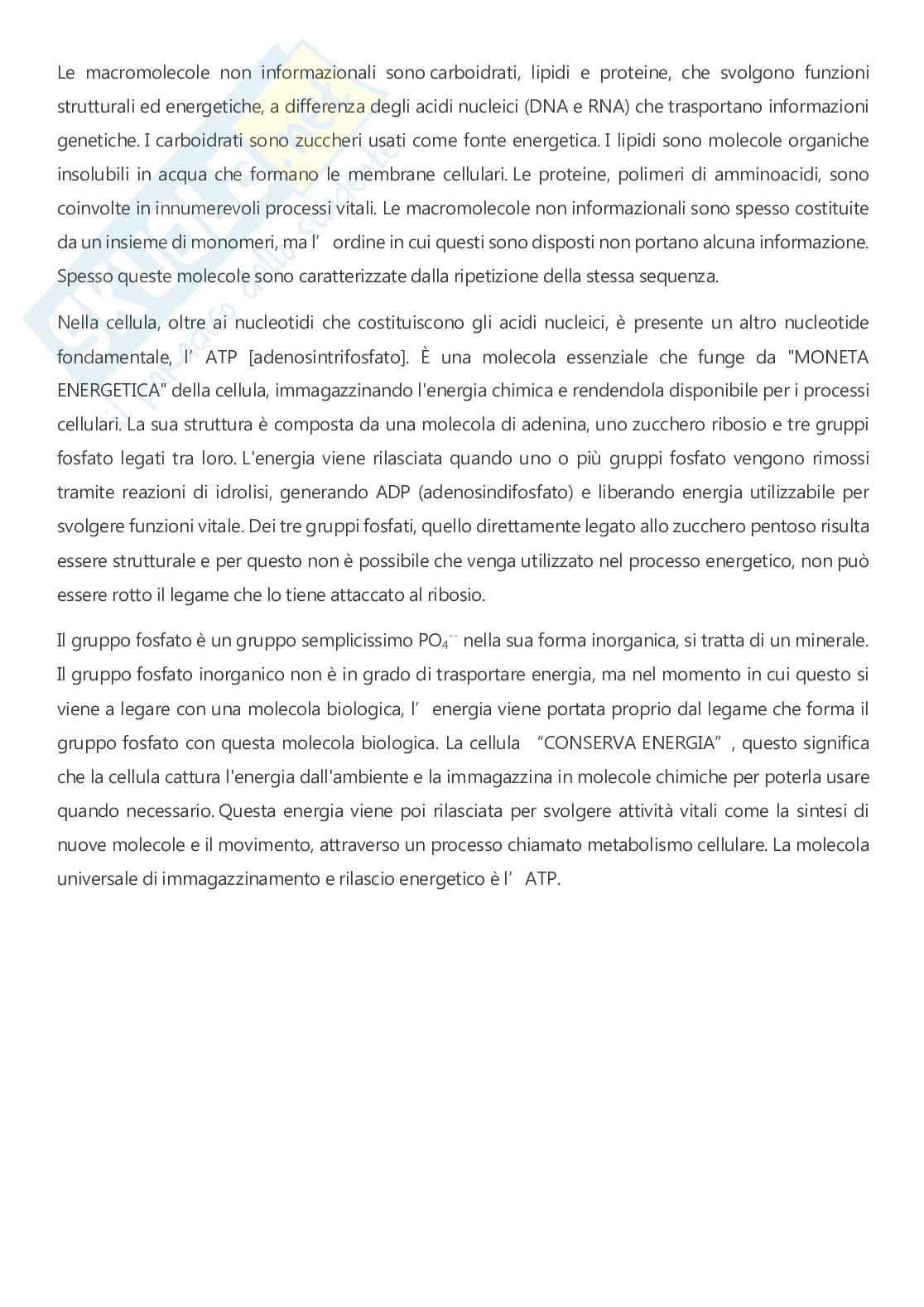 Microbiologia - A.A. 2025/2026  Pag. 16