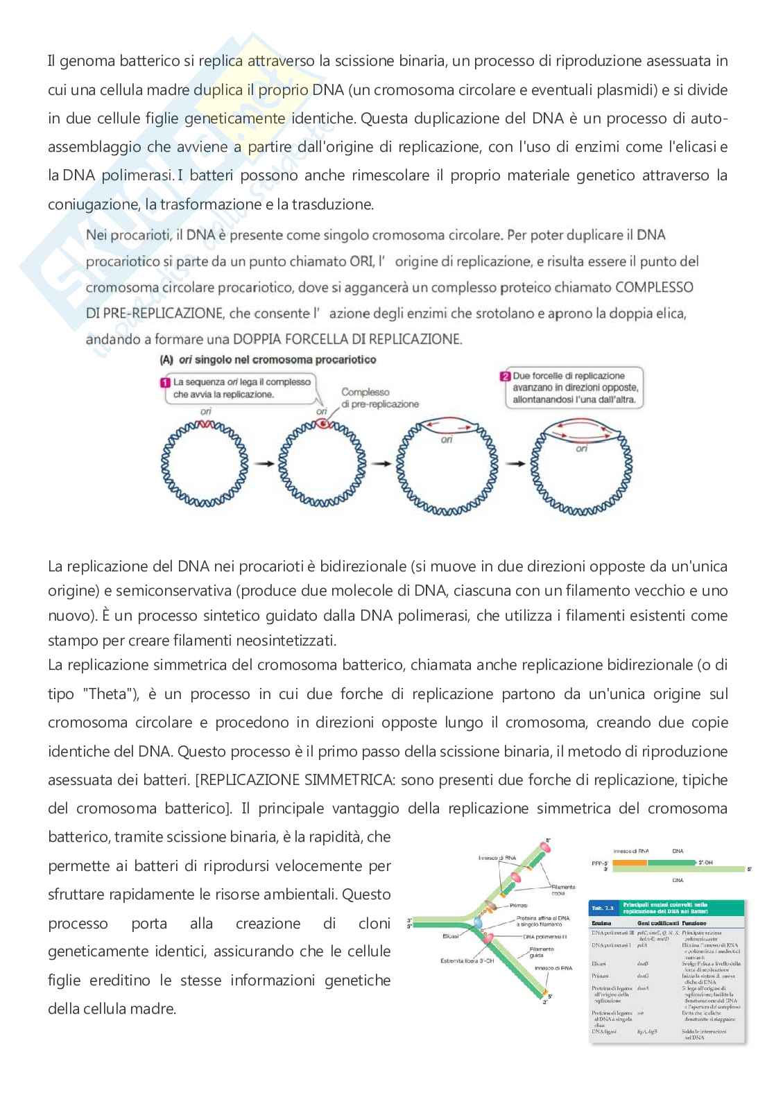 Microbiologia - A.A. 2025/2026  Pag. 21