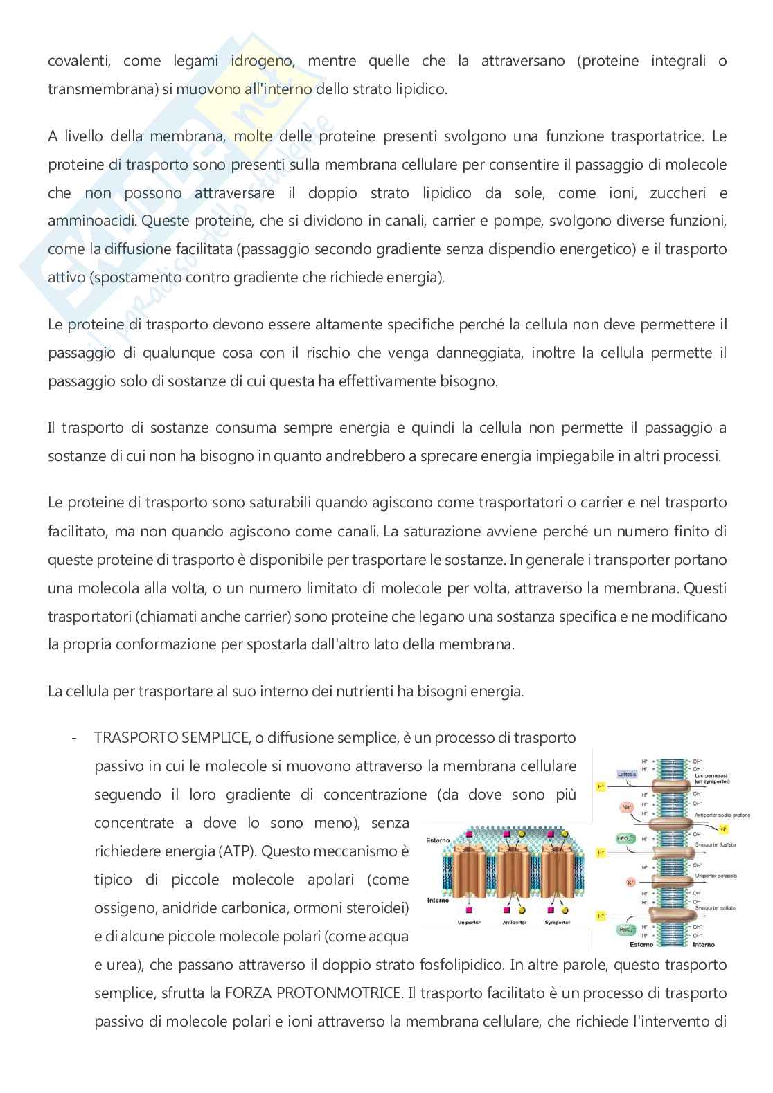 Microbiologia - A.A. 2025/2026  Pag. 31