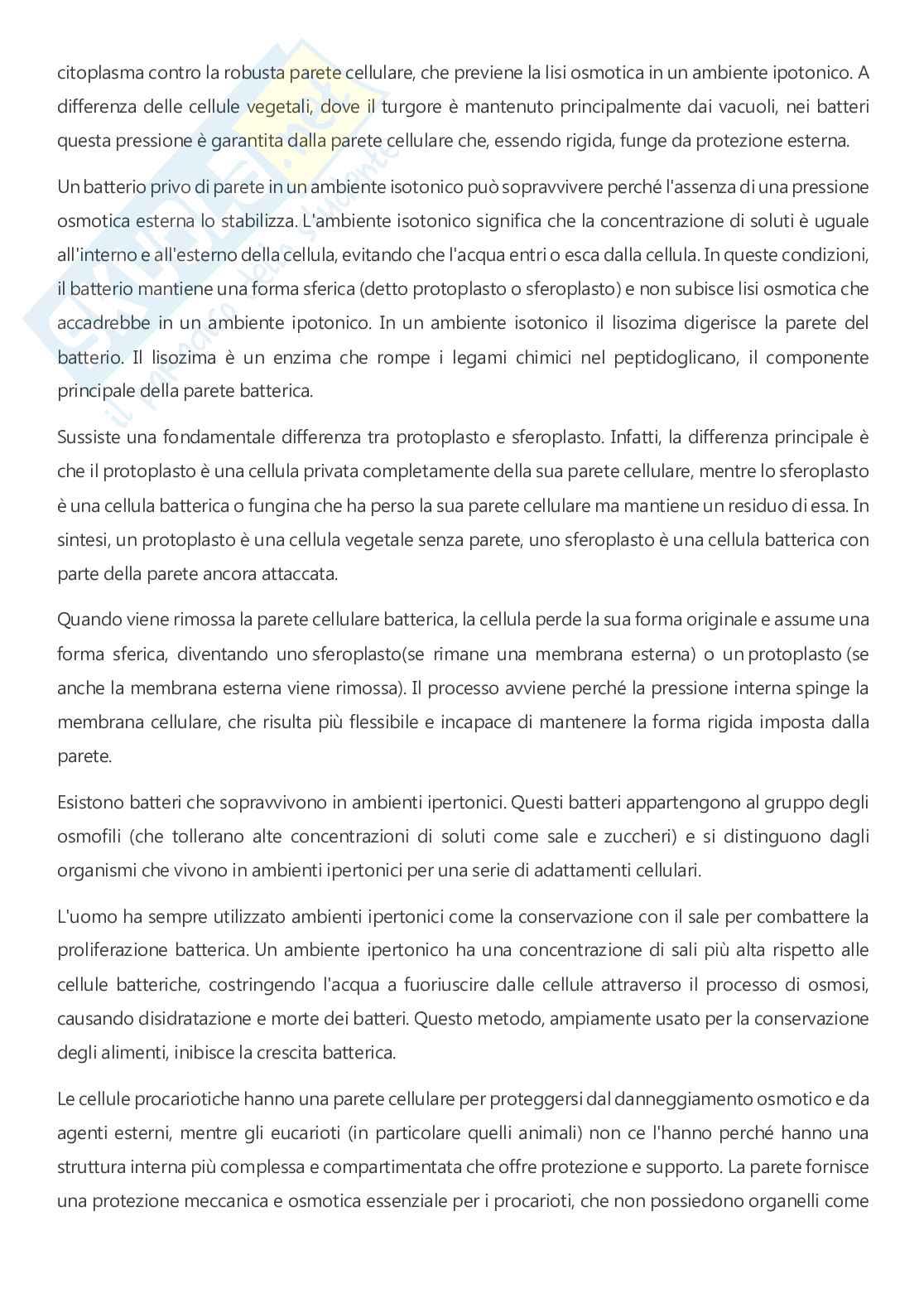 Microbiologia - A.A. 2025/2026  Pag. 36