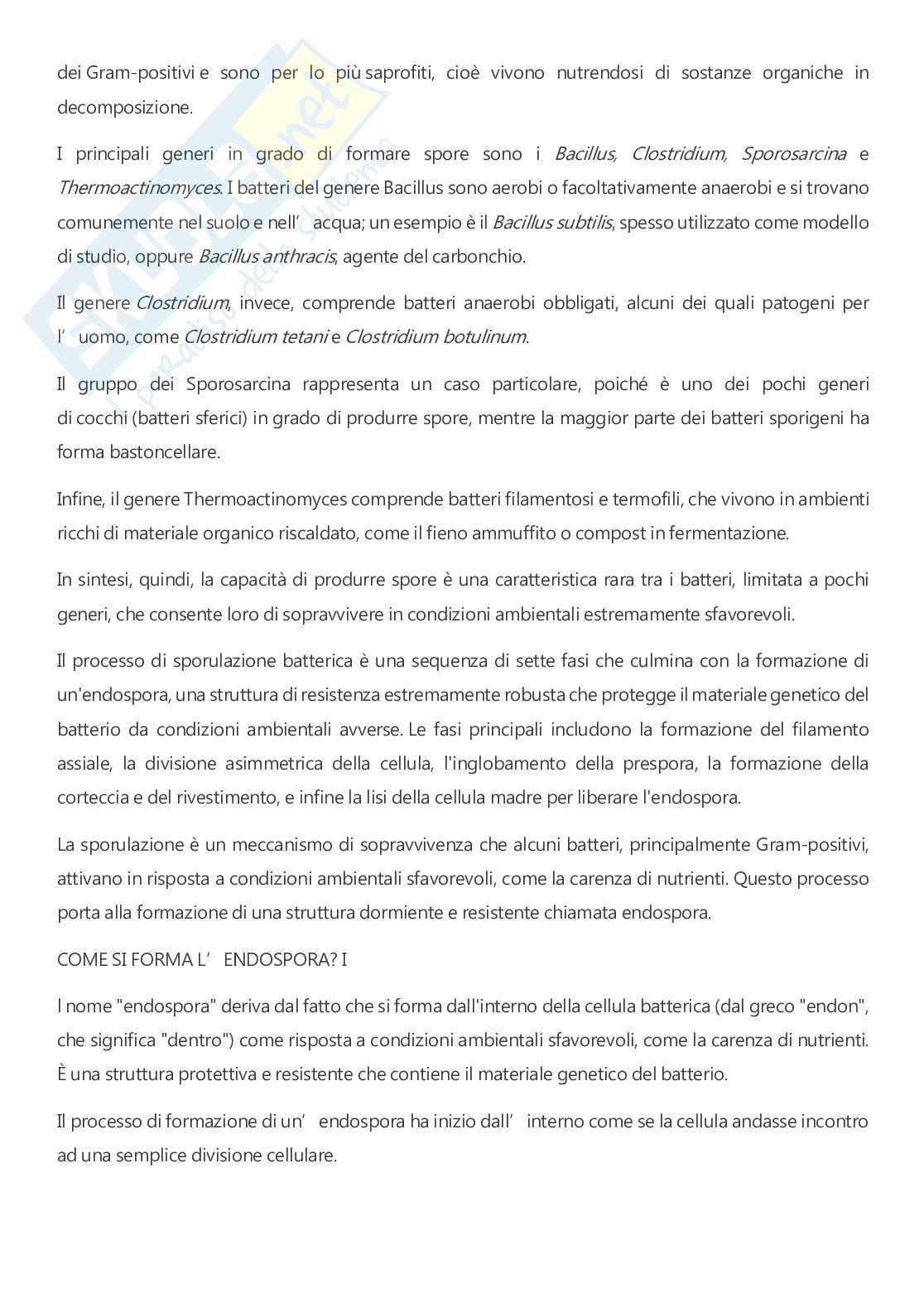 Microbiologia - A.A. 2025/2026  Pag. 51