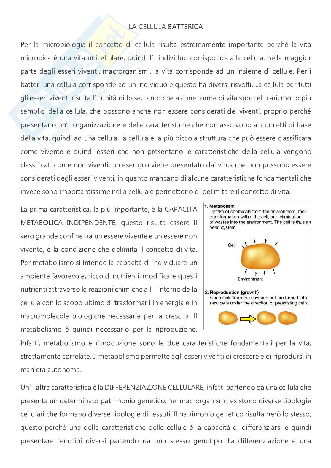 Microbiologia - A.A. 2025/2026  Pag. 6