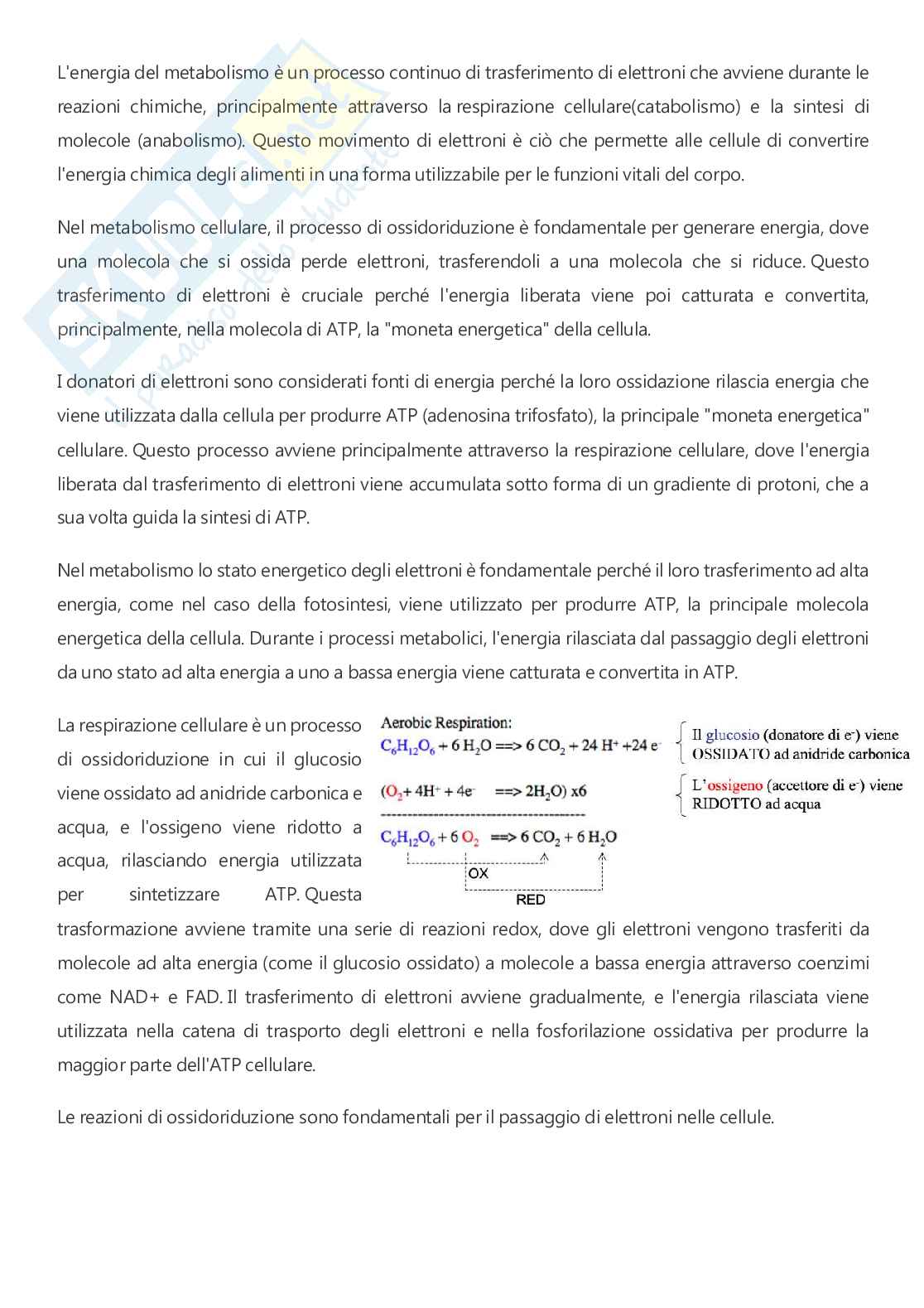 Microbiologia - A.A. 2025/2026  Pag. 61