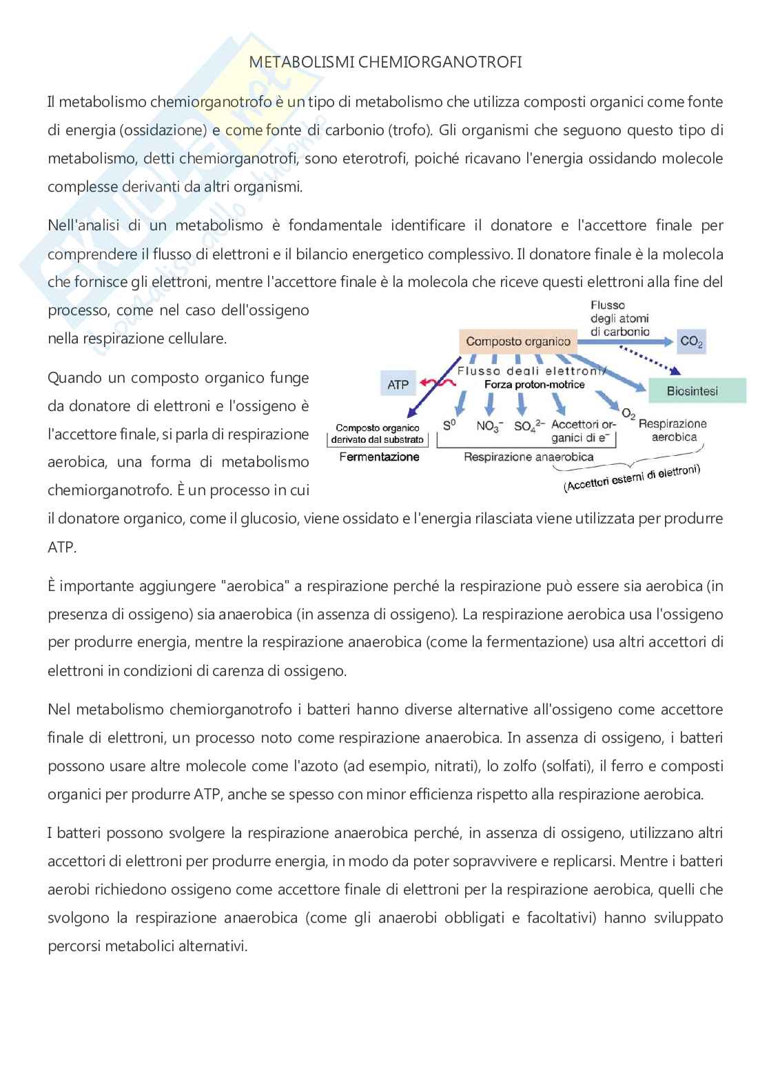 Microbiologia - A.A. 2025/2026  Pag. 66