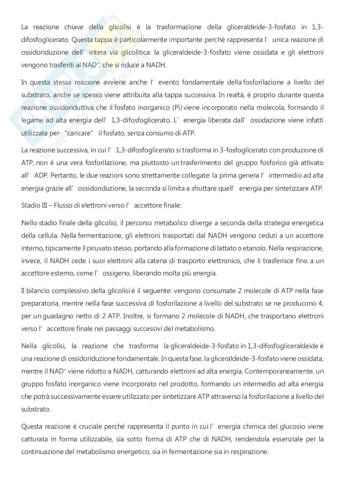 Microbiologia - A.A. 2025/2026  Pag. 71