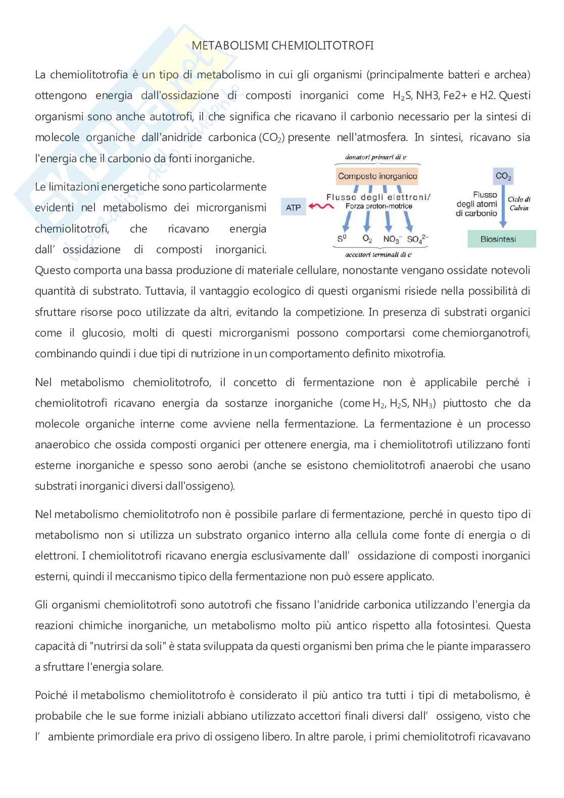 Microbiologia - A.A. 2025/2026  Pag. 81