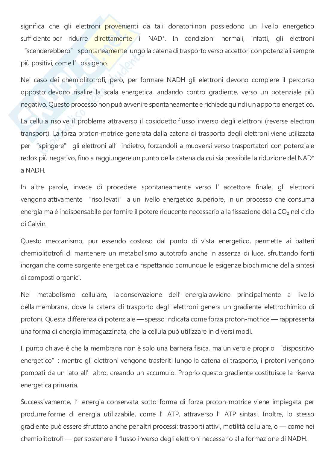 Microbiologia - A.A. 2025/2026  Pag. 86