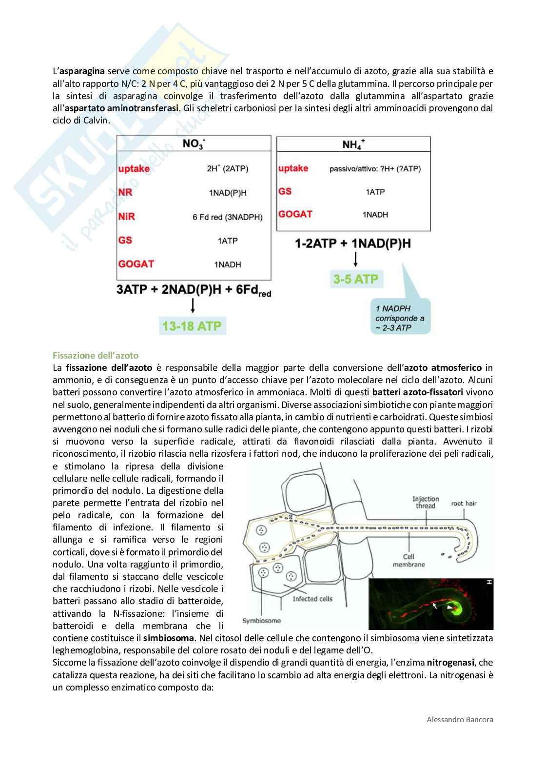 Riassunto esame Fisiologia vegetale, Prof. Costa Alex, libro consigliato Fisiologia vegetale, Taiz Pag. 26