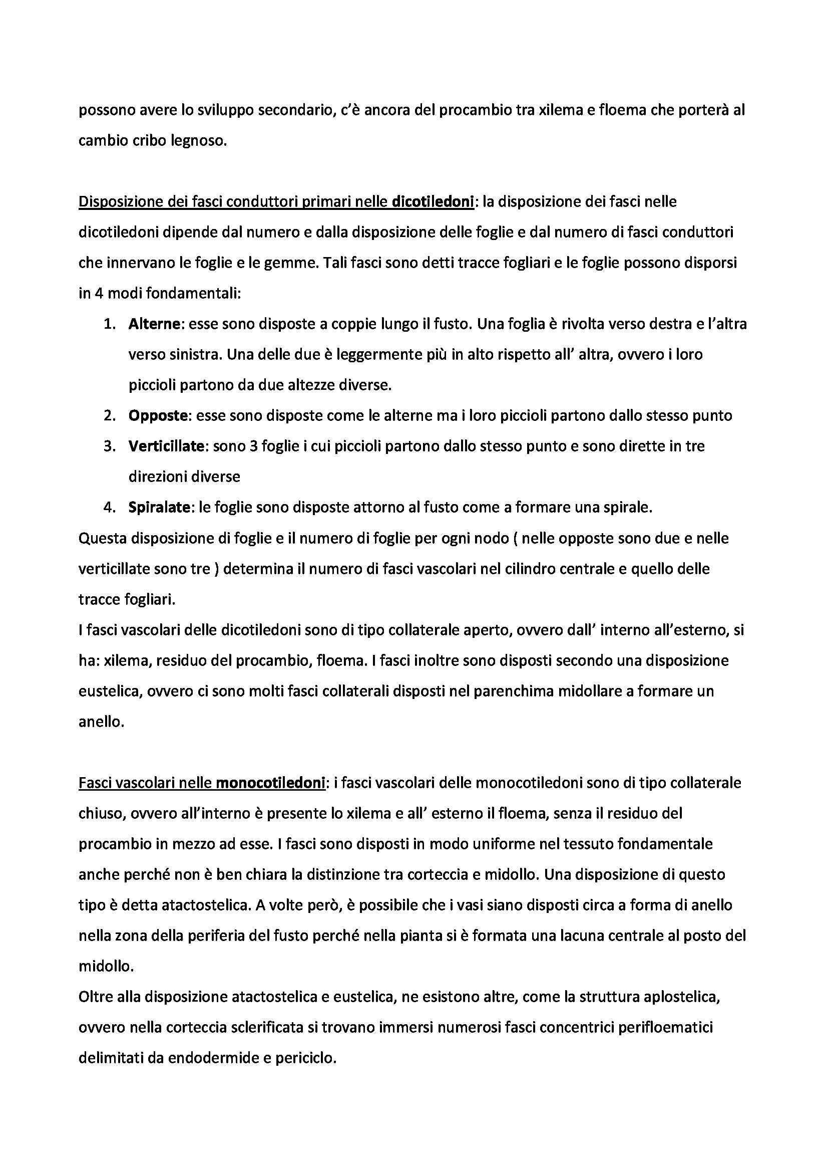 Fusto - Biologia vegetale Pag. 2