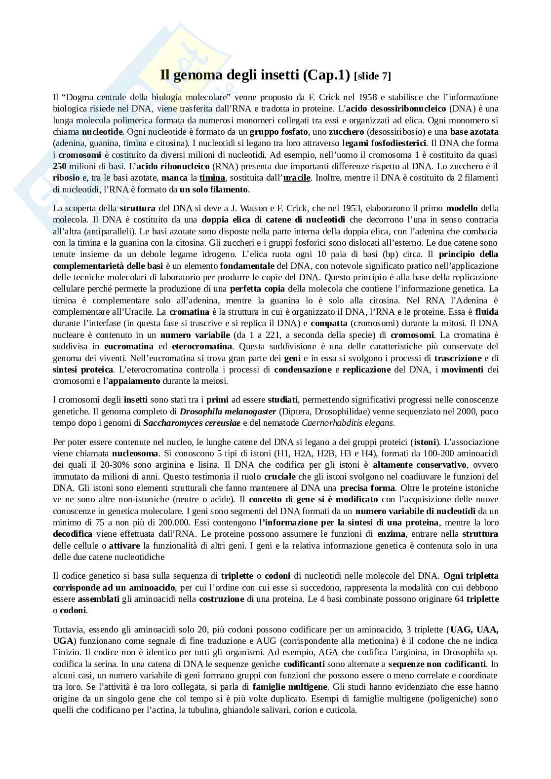 Appunti Biotecnologie entomologiche Pag. 1