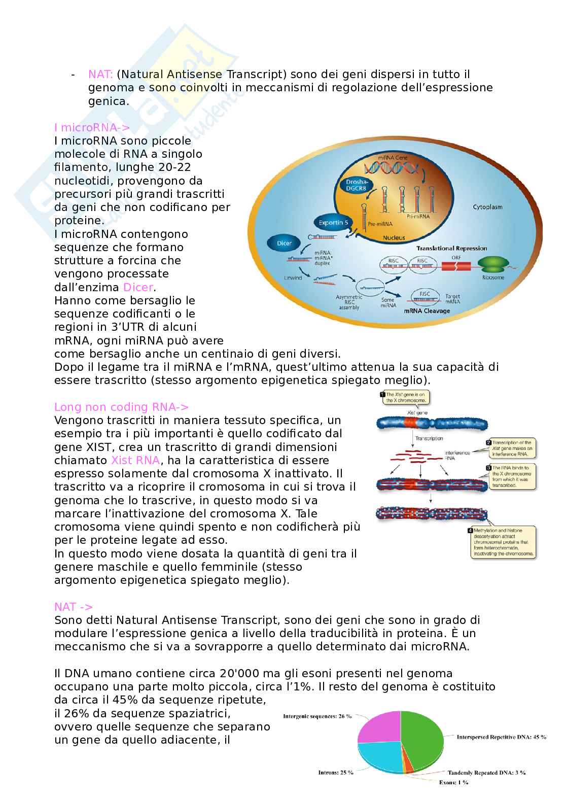 Progetto genoma umano Pag. 11