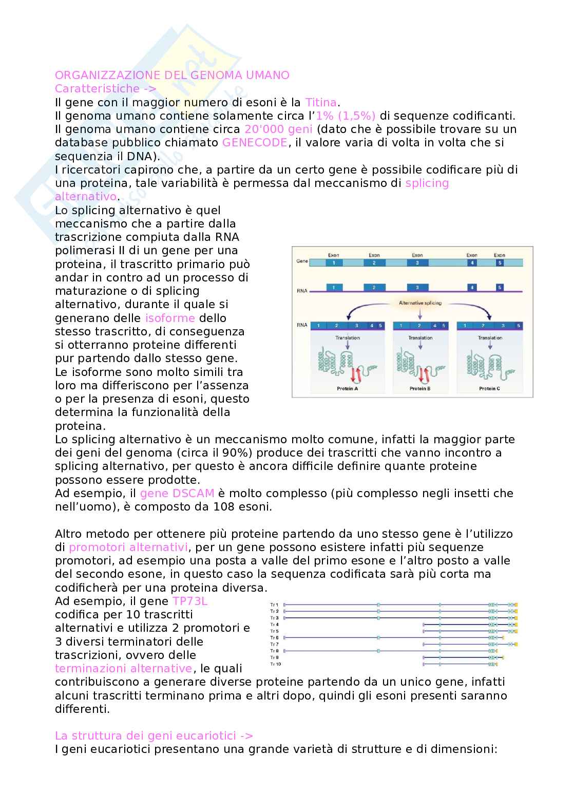 Progetto genoma umano Pag. 6