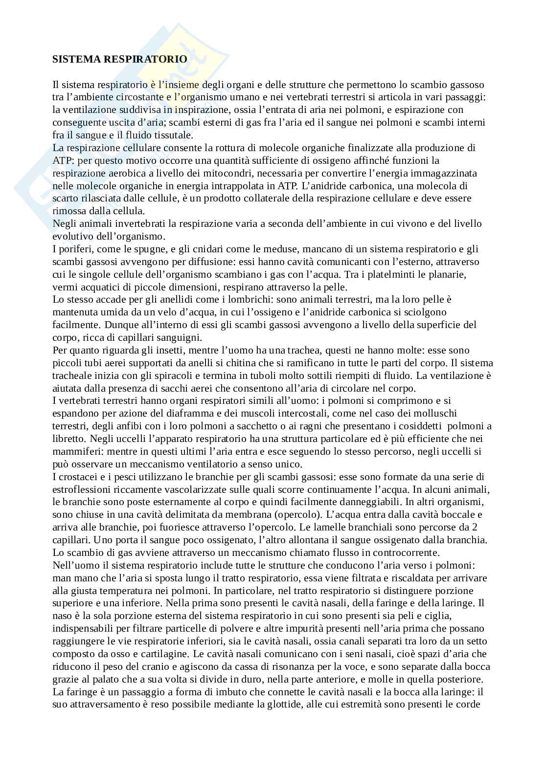 Tracce esame Biologia svolte Pag. 1