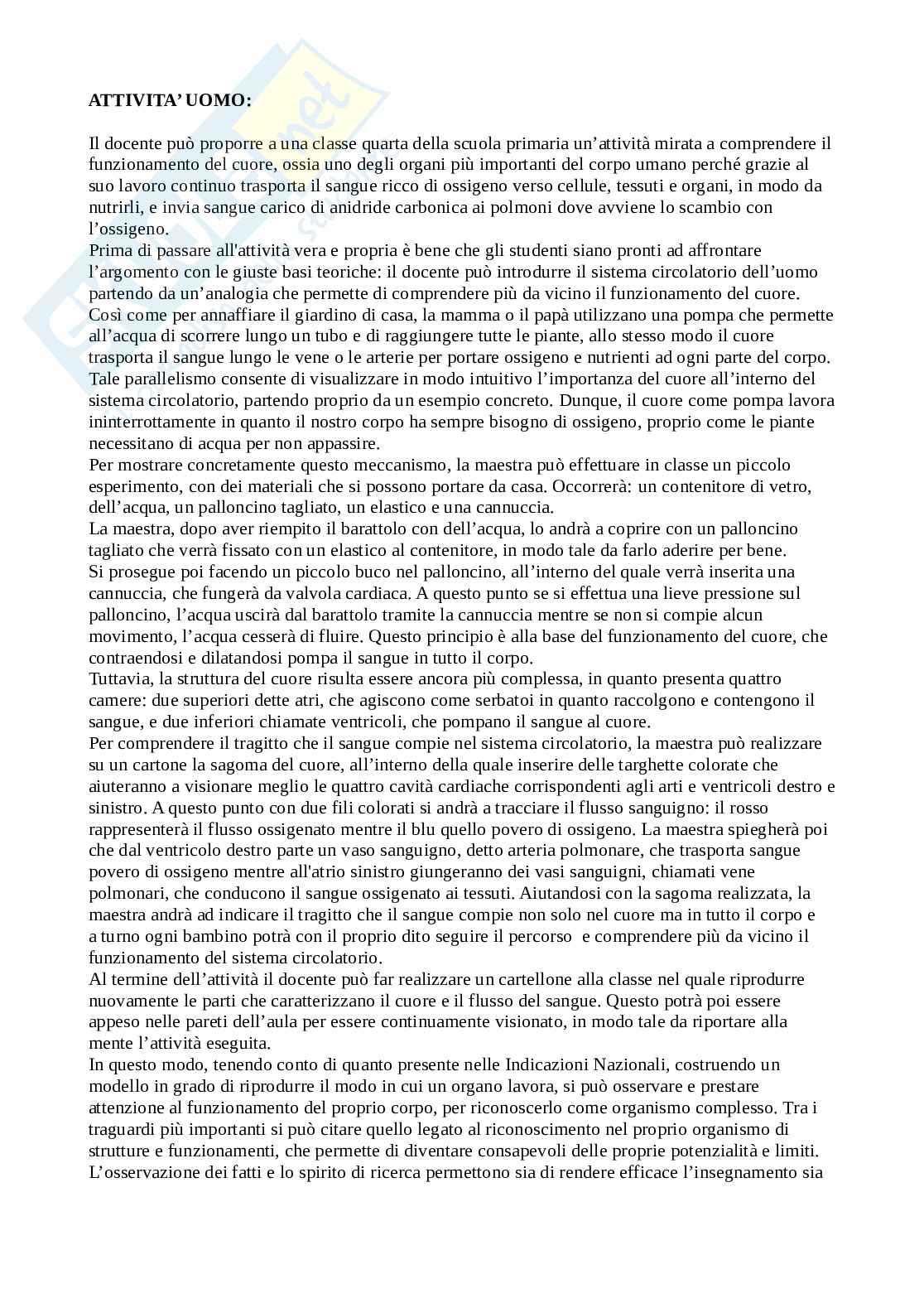 Tracce esame Biologia svolte Pag. 11