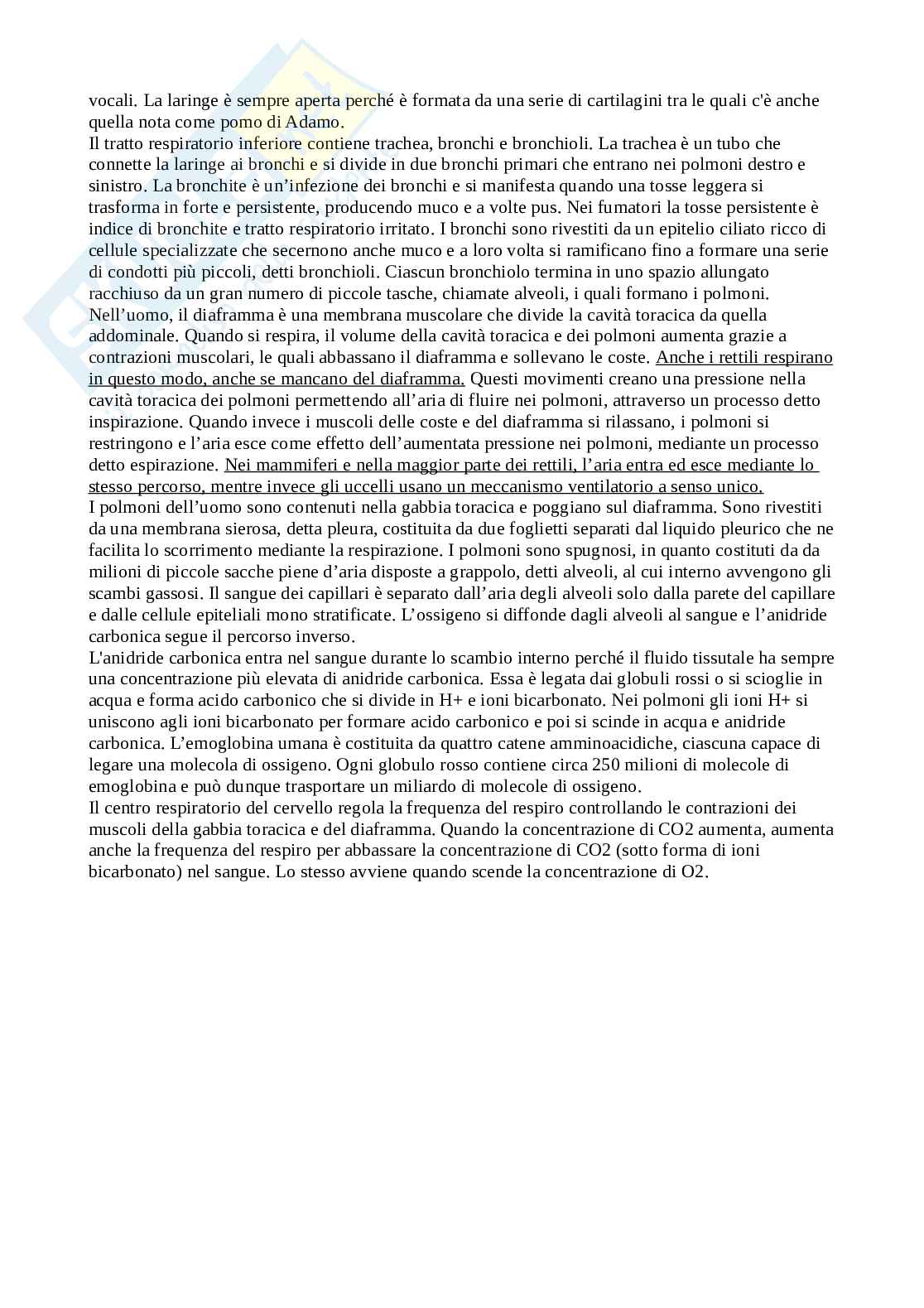 Tracce esame Biologia svolte Pag. 2