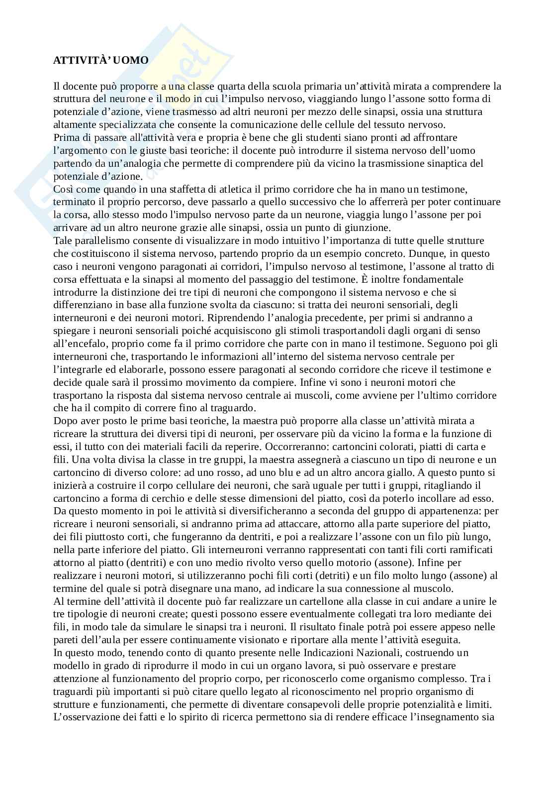 Tracce esame Biologia svolte Pag. 21