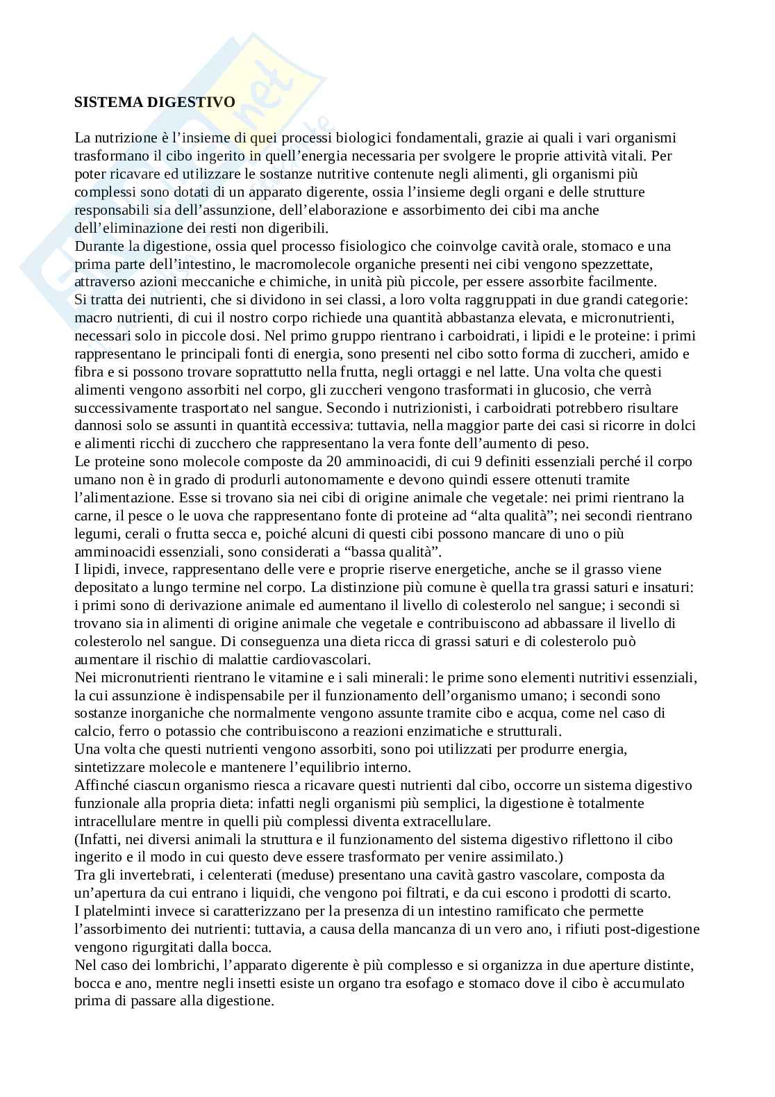 Tracce esame Biologia svolte Pag. 26