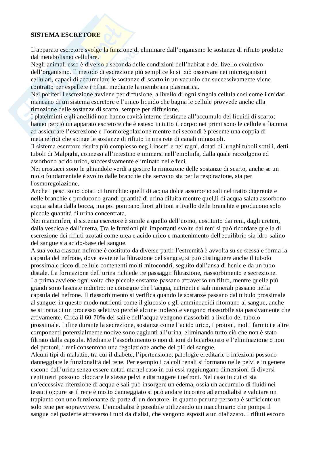 Tracce esame Biologia svolte Pag. 6