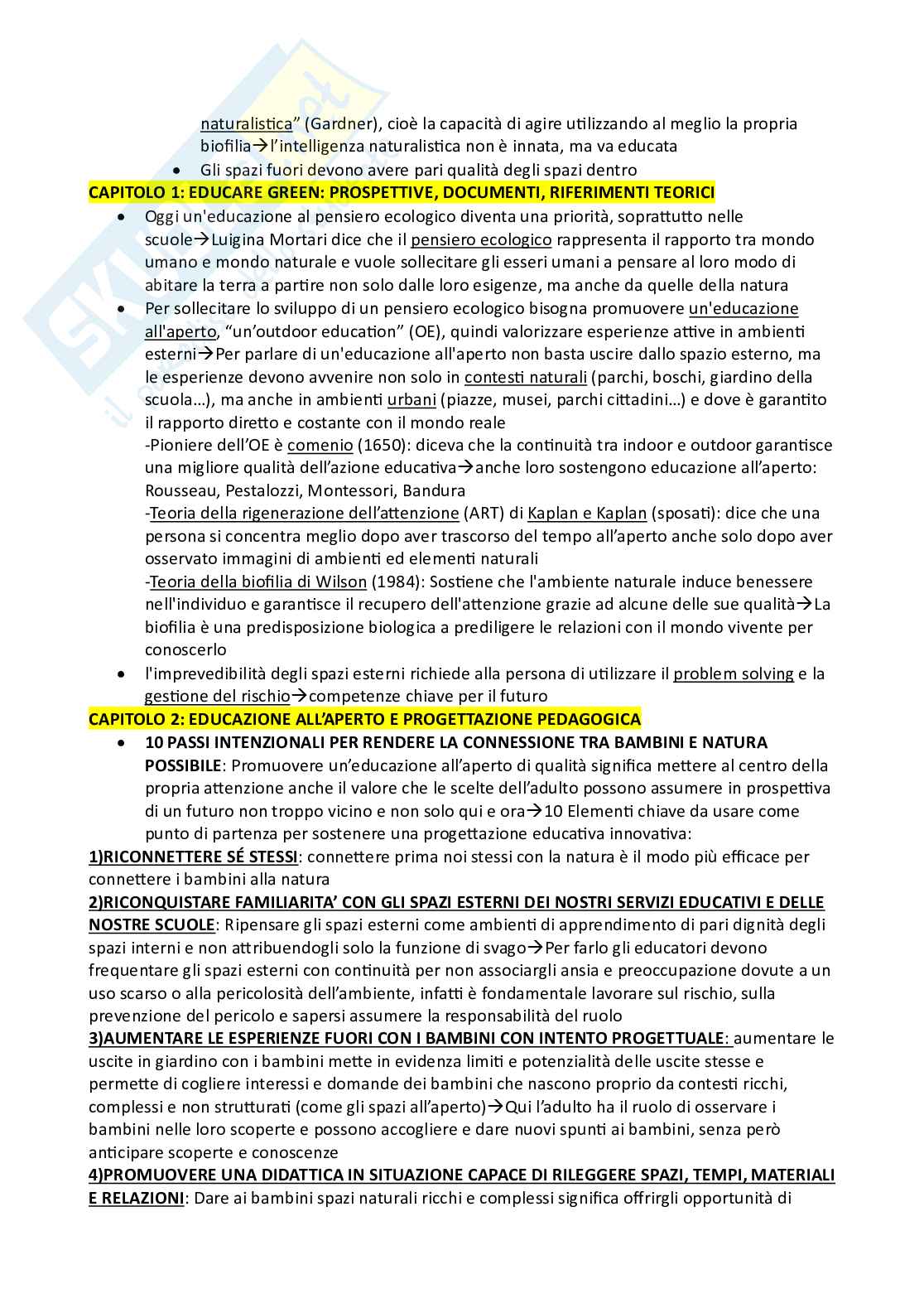 Appunti per l'esame di Modelli di mediazione didattica  Pag. 6