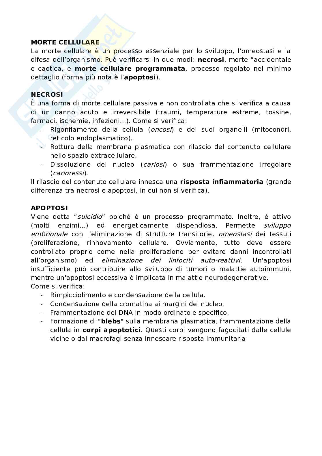 Morte cellulare (necrosi e apoptosi) Pag. 1