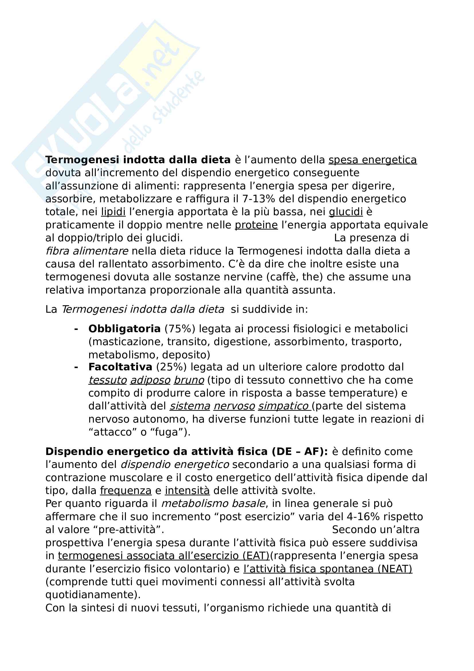 Nutrizione Pag. 6