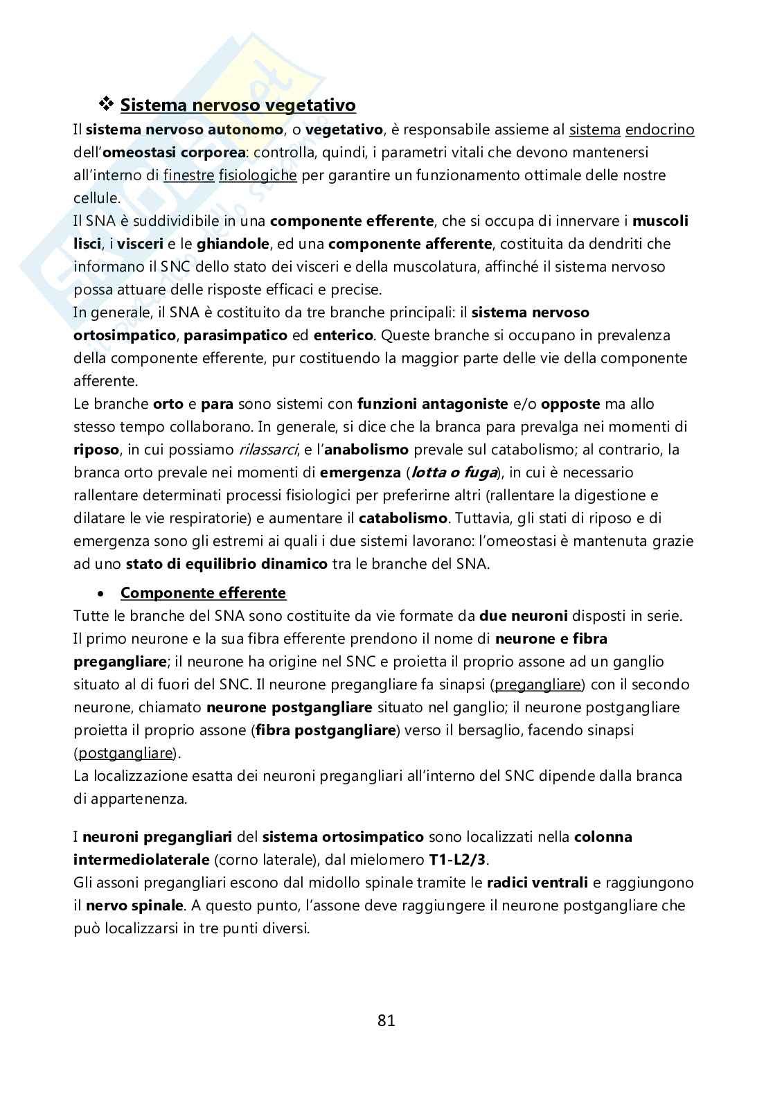 Fisiologia umana Pag. 81