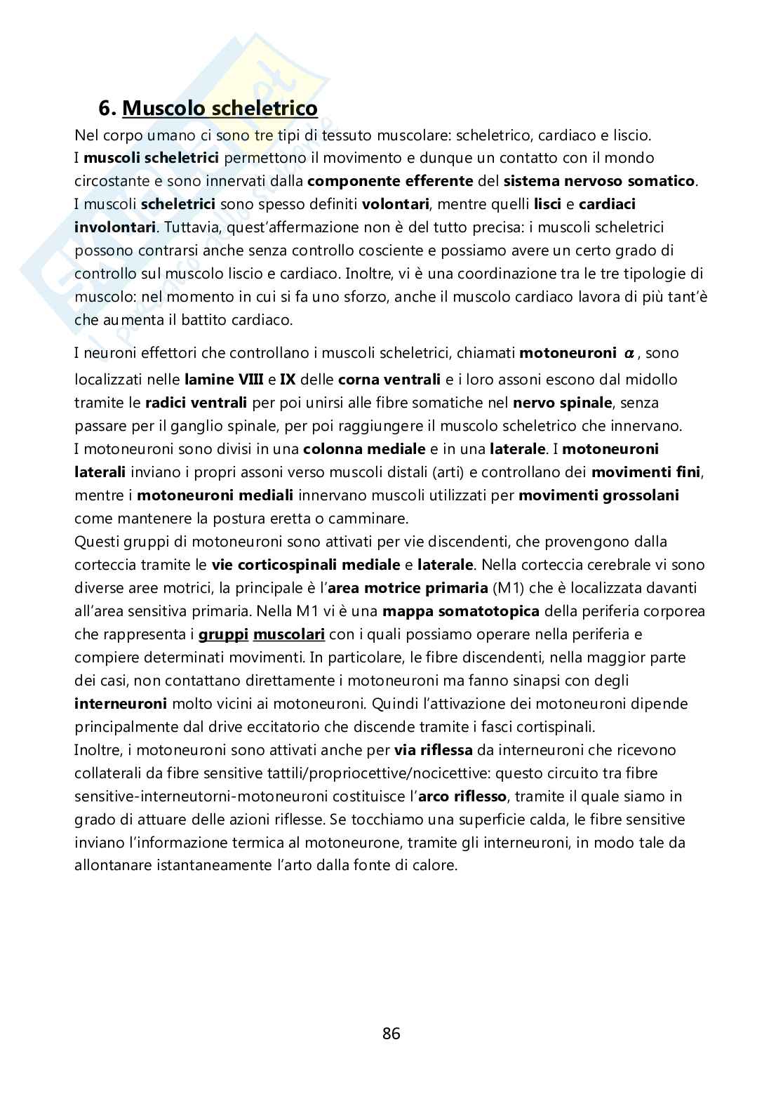 Fisiologia umana Pag. 86