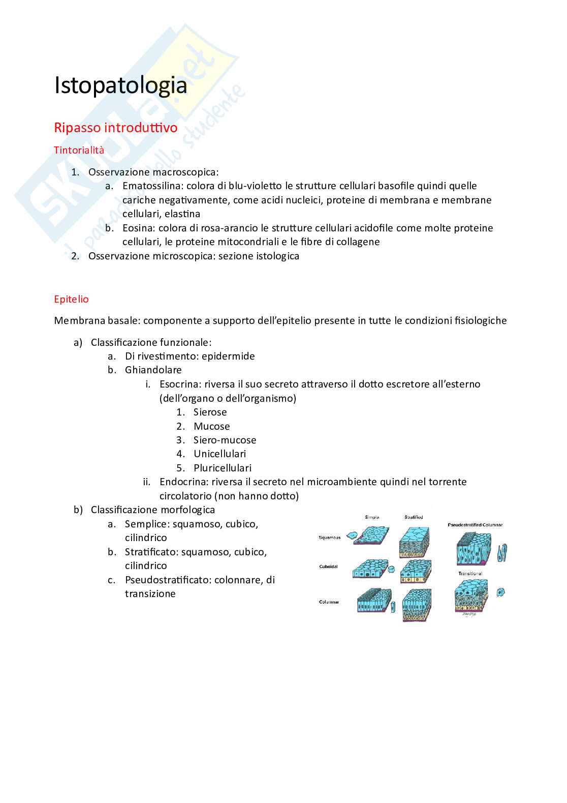 Vetrini Patologia generale Pag. 1