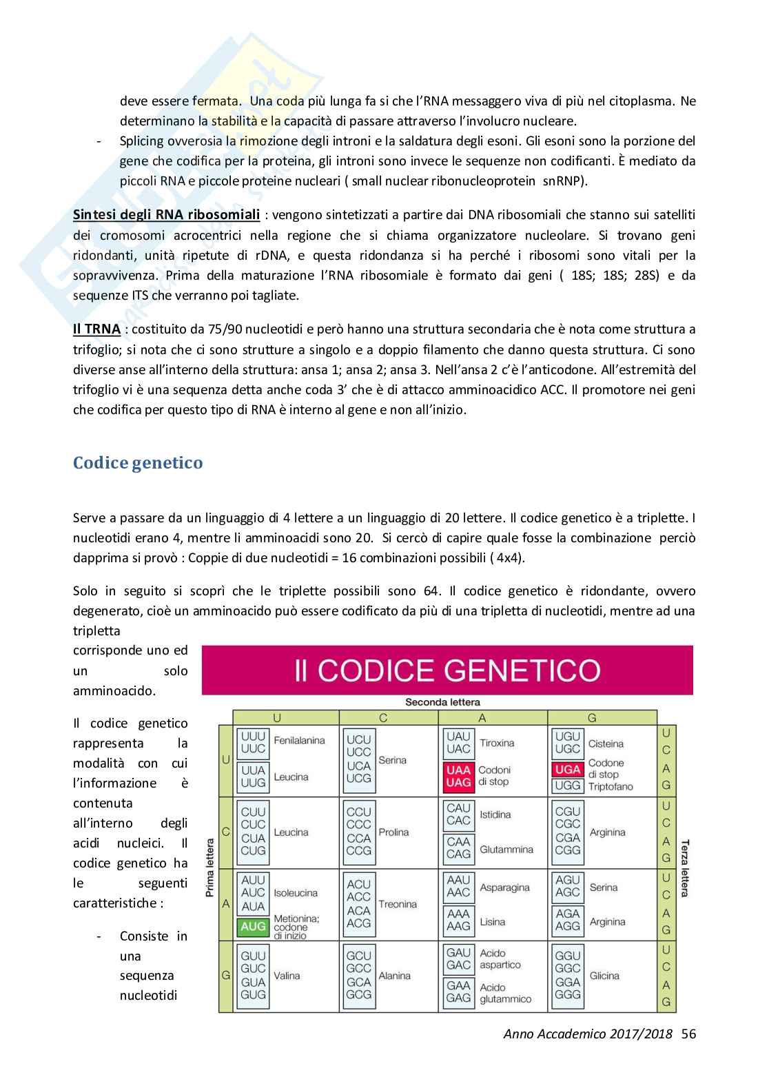 Genetica Pag. 56