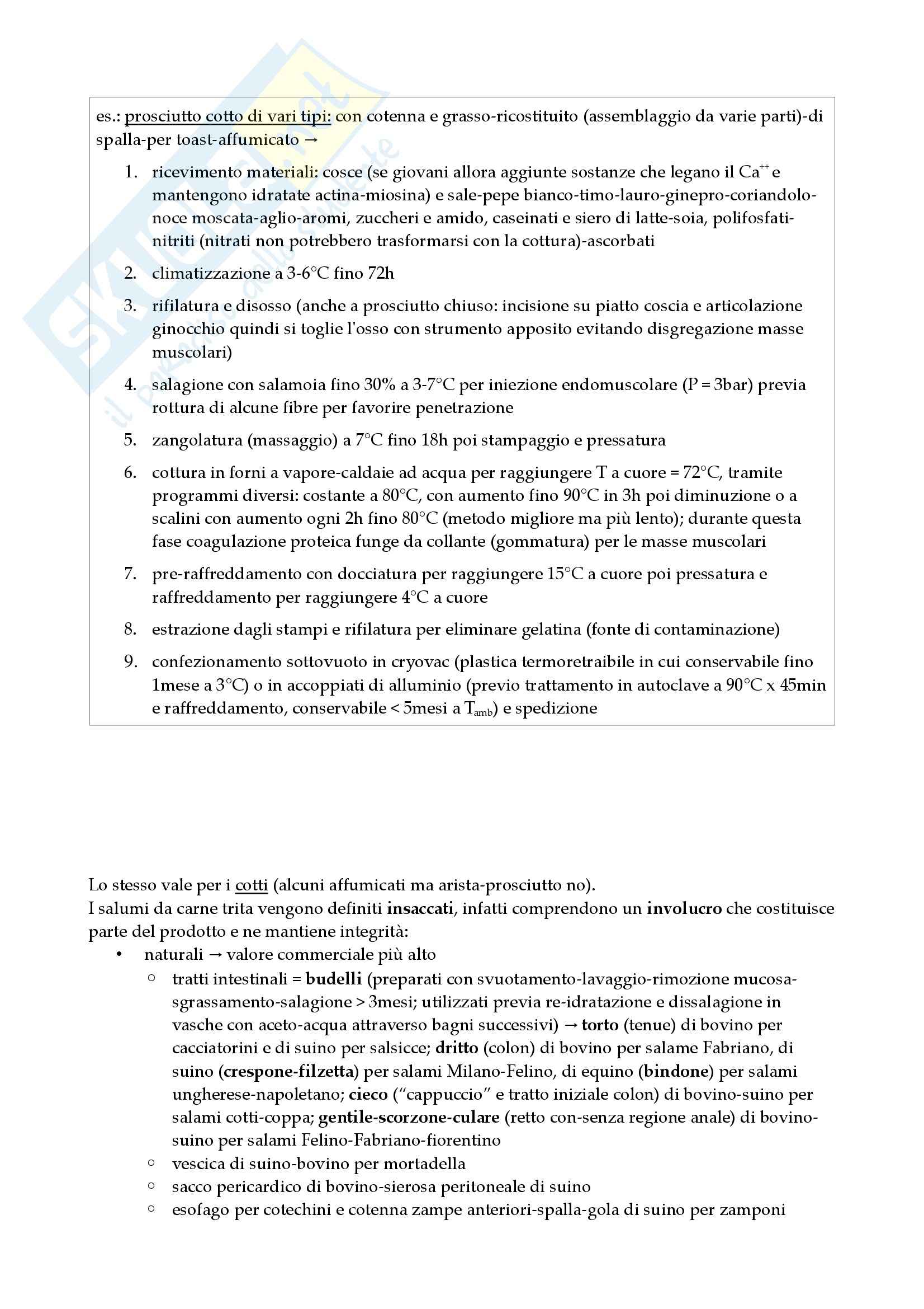 Lezioni, Igiene Pag. 26