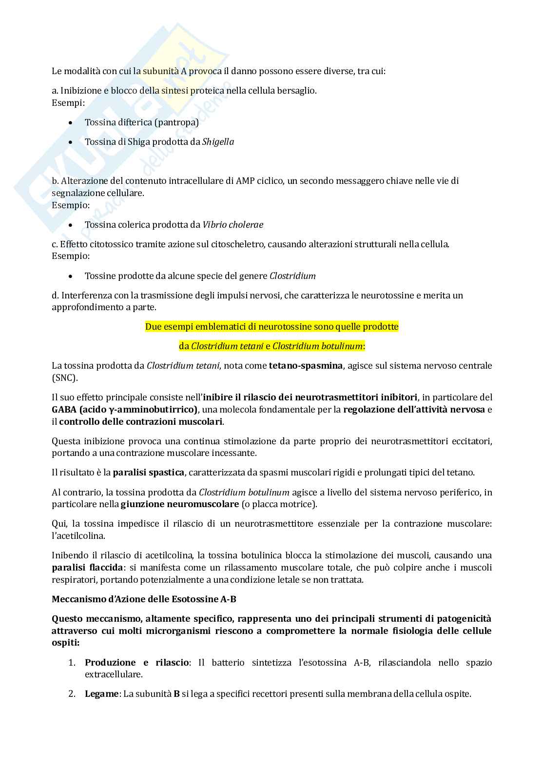 Appunti completi Nutrizione e microrganismi: infezioni e fermentazioni Pag. 26