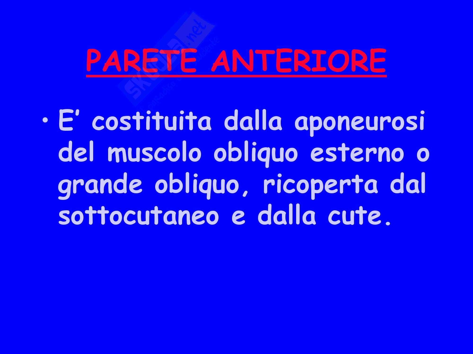Ernia - Chirurgia Geriatrica Pag. 26