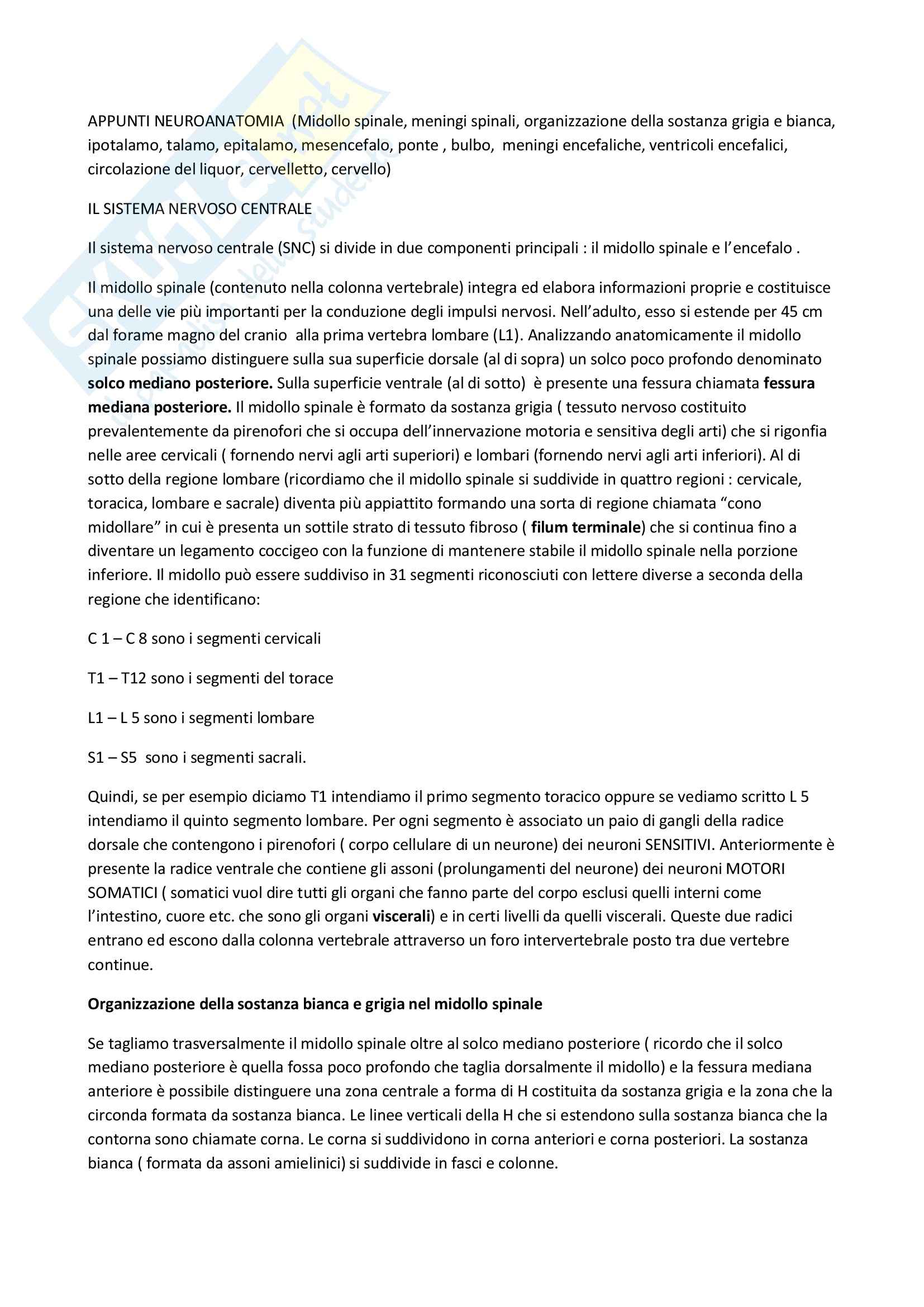 Neuroanatomia - il sistema nervoso centrale Pag. 1