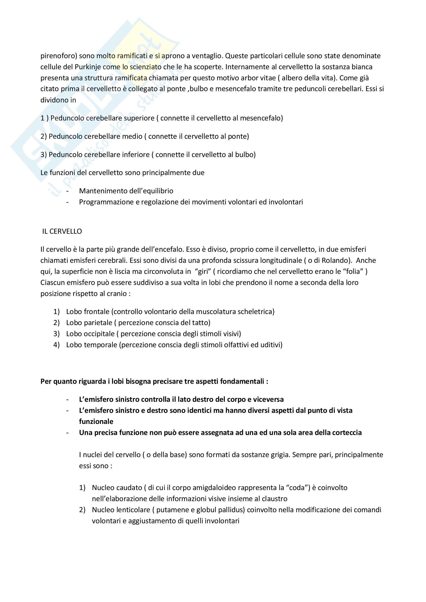Neuroanatomia - il sistema nervoso centrale Pag. 6