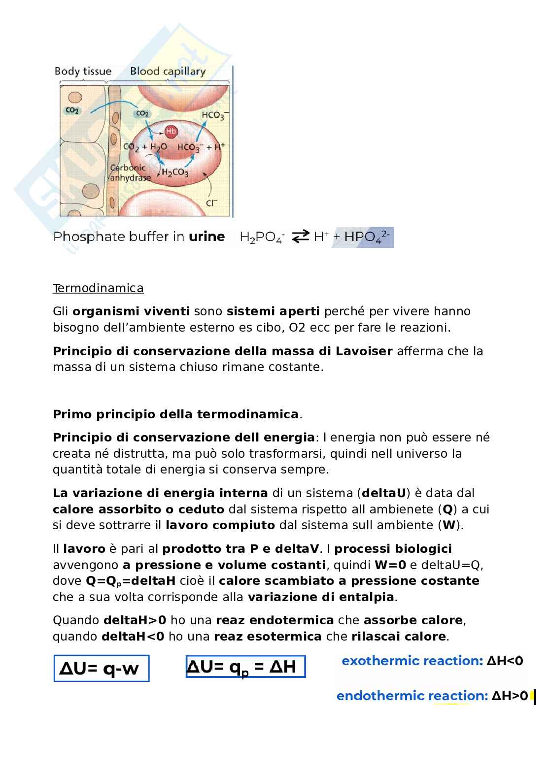 Ph e principi della termodinamica Pag. 6